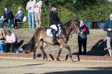 Bild 31 - Pony Akademie Turnier